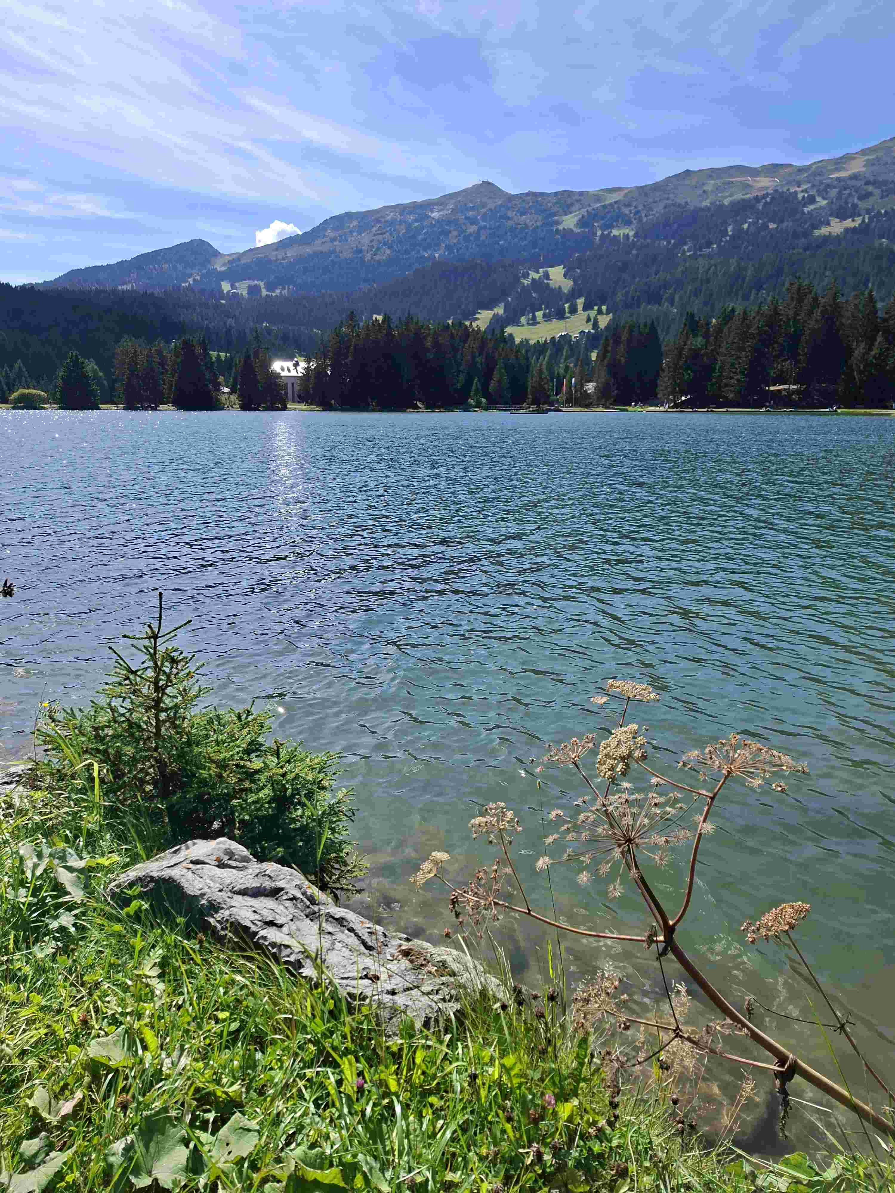 60plus-Ferienwoche in der Lenzerheide